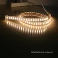 China AC230V High Lumen SMD5050 LED Strips Supplier